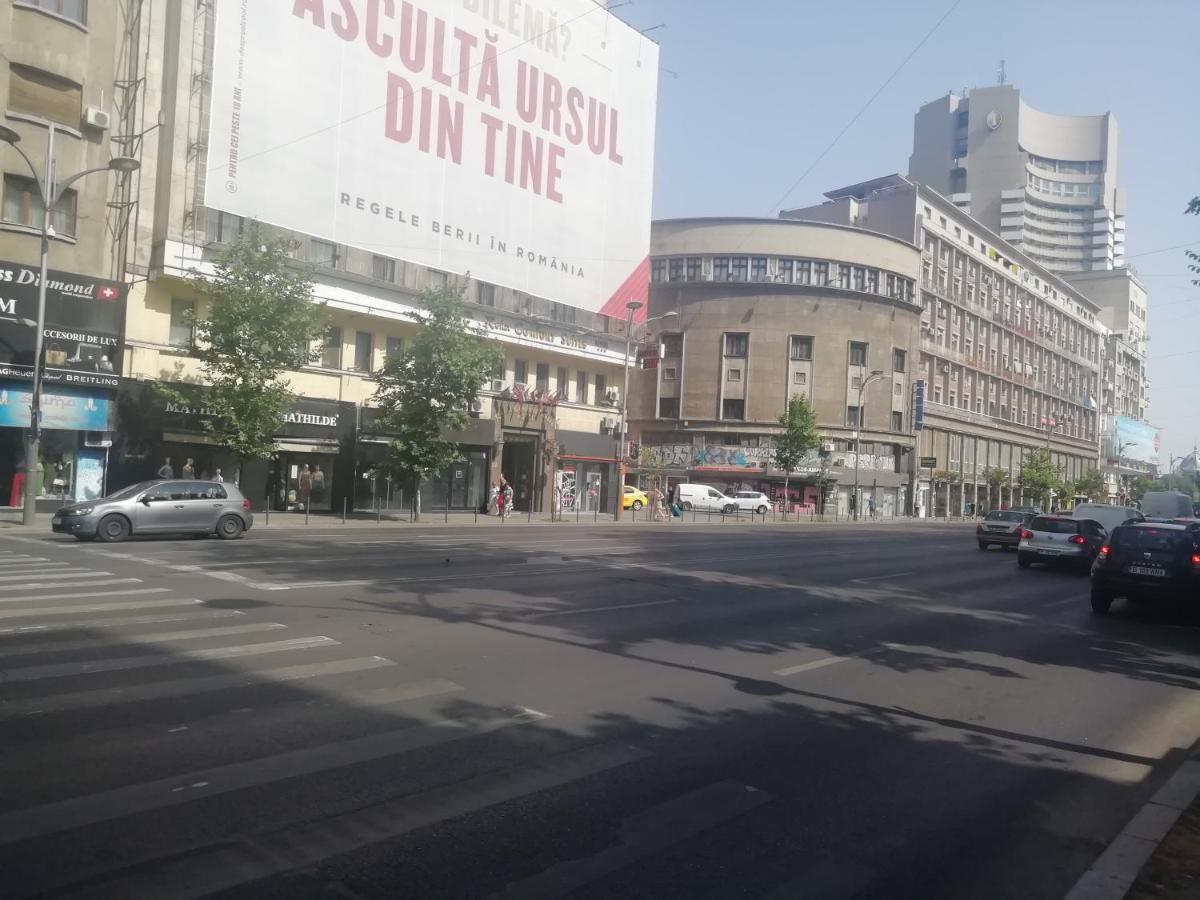Studio Ultracentral Universitatea Bucureşti Eksteriør bilde