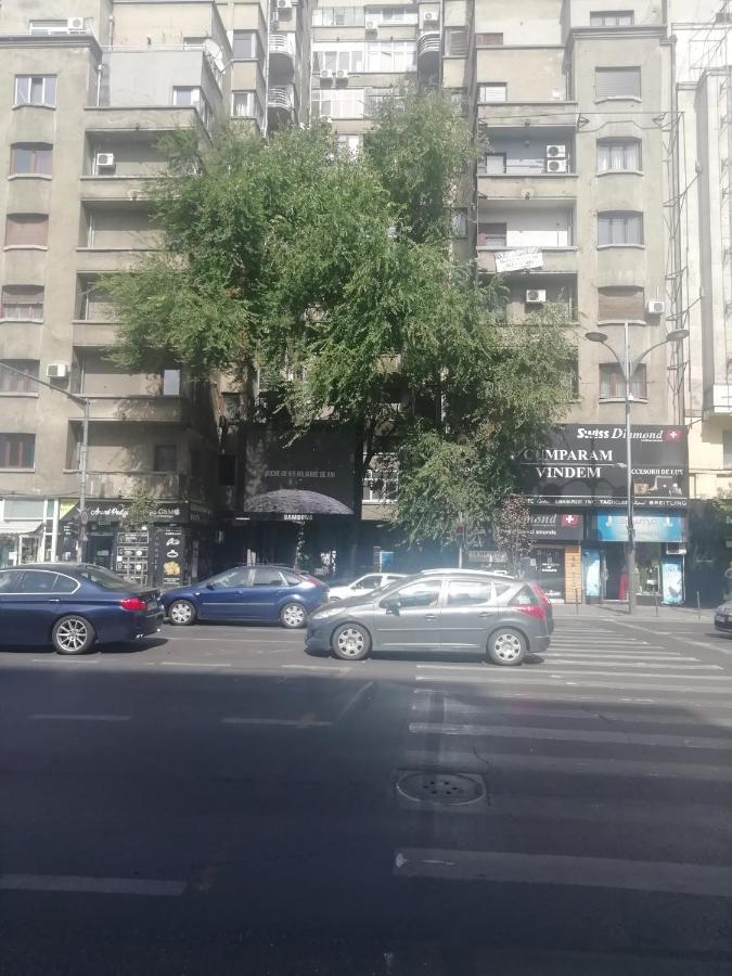 Studio Ultracentral Universitatea Bucureşti Eksteriør bilde